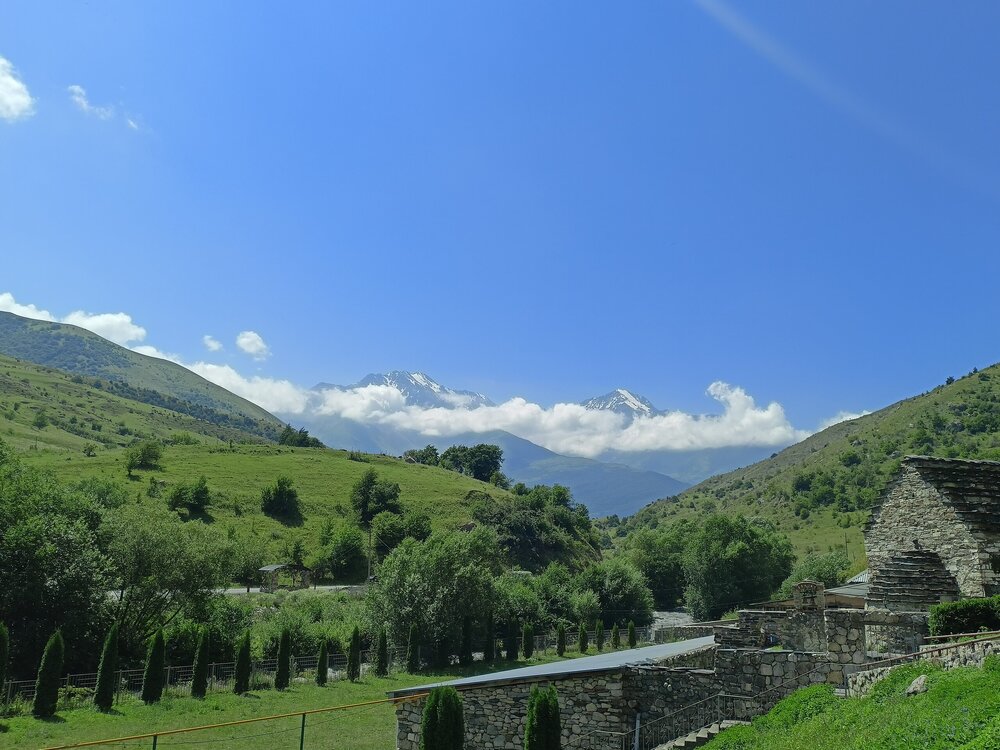 IMG20250723104748.jpg