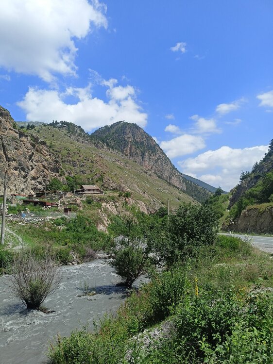 IMG20250723110620.jpg