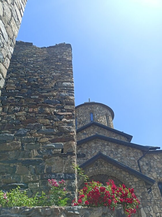 IMG20250723113937.jpg