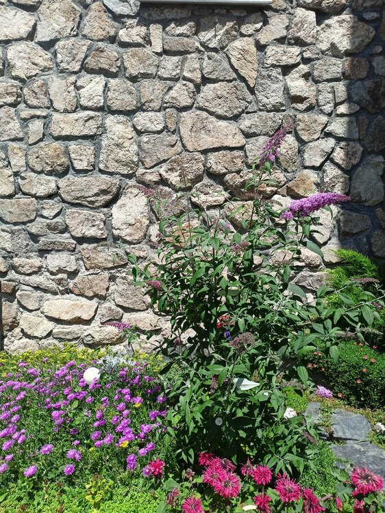 IMG20250723114010.jpg