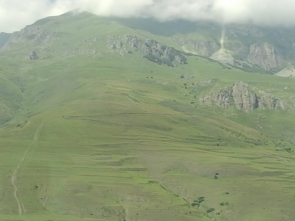 IMG20250723121803.jpg