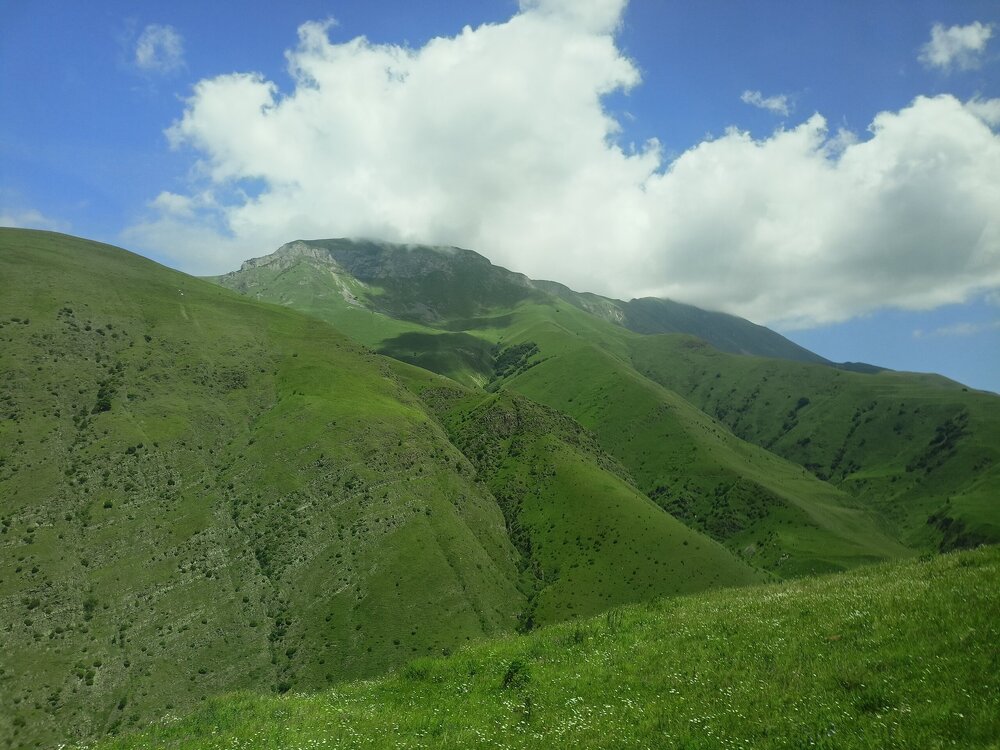 IMG20250723122103.jpg