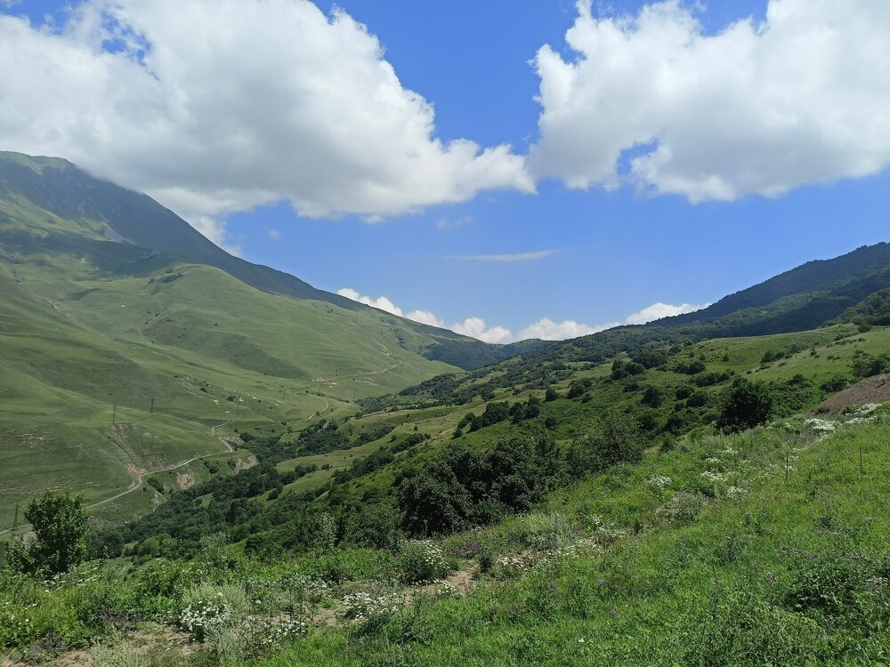 IMG20250723122941.jpg