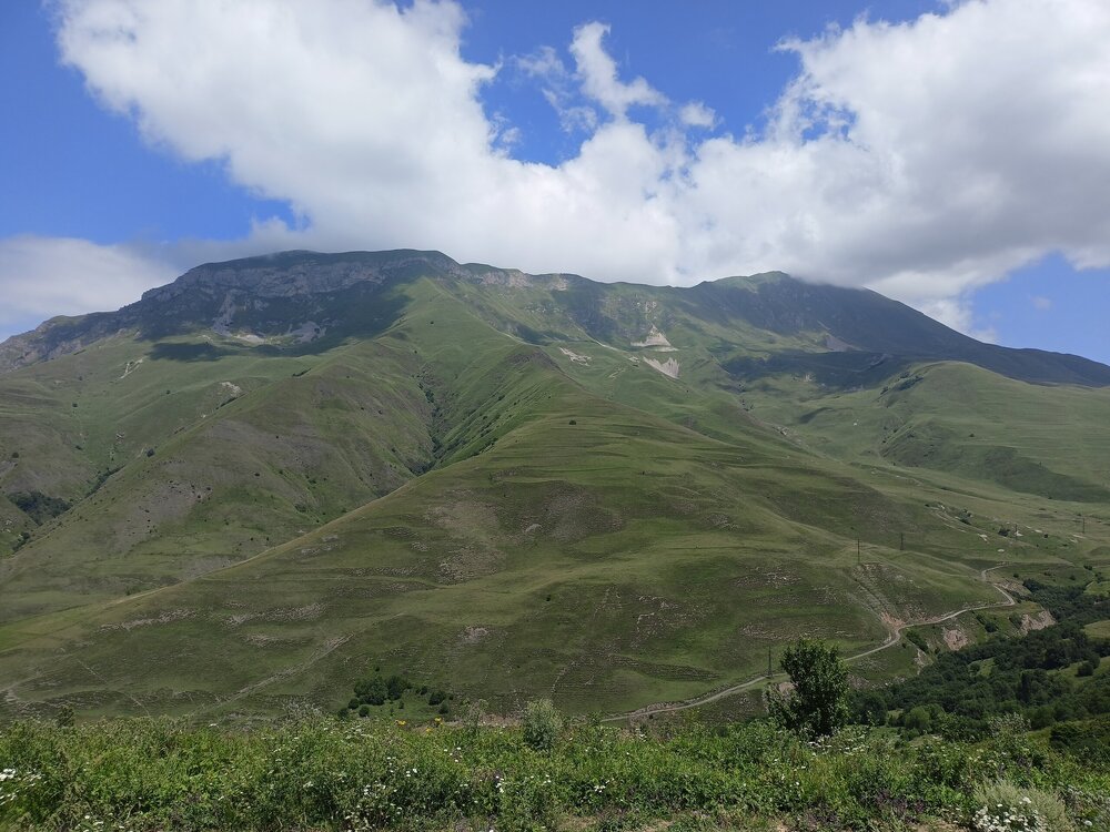IMG20250723122944.jpg