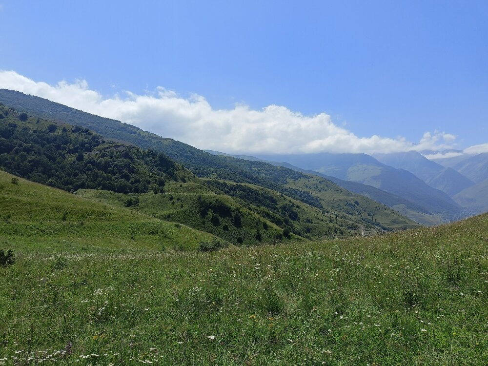 IMG20250723123112.jpg