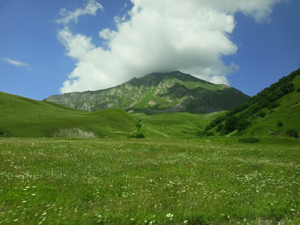 IMG20250723135644.jpg