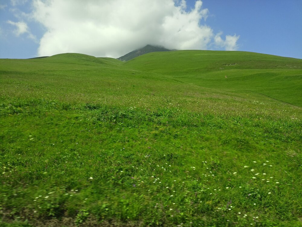 IMG20250723140441.jpg