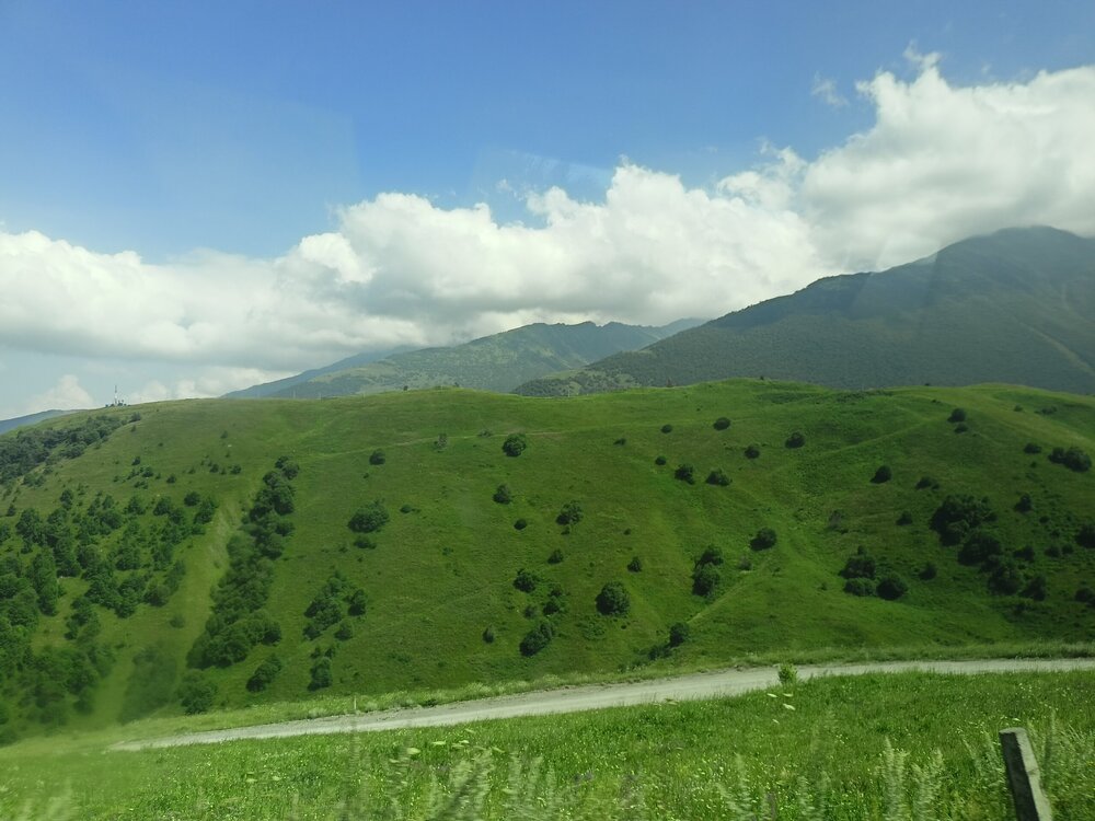 IMG20250723140650.jpg