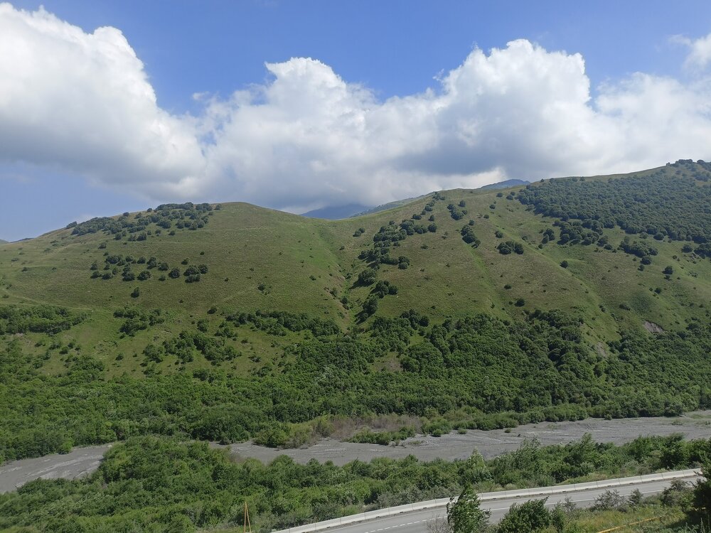 IMG20250723141824.jpg