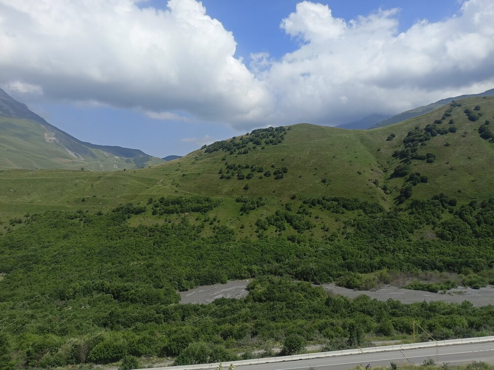 IMG20250723142029.jpg