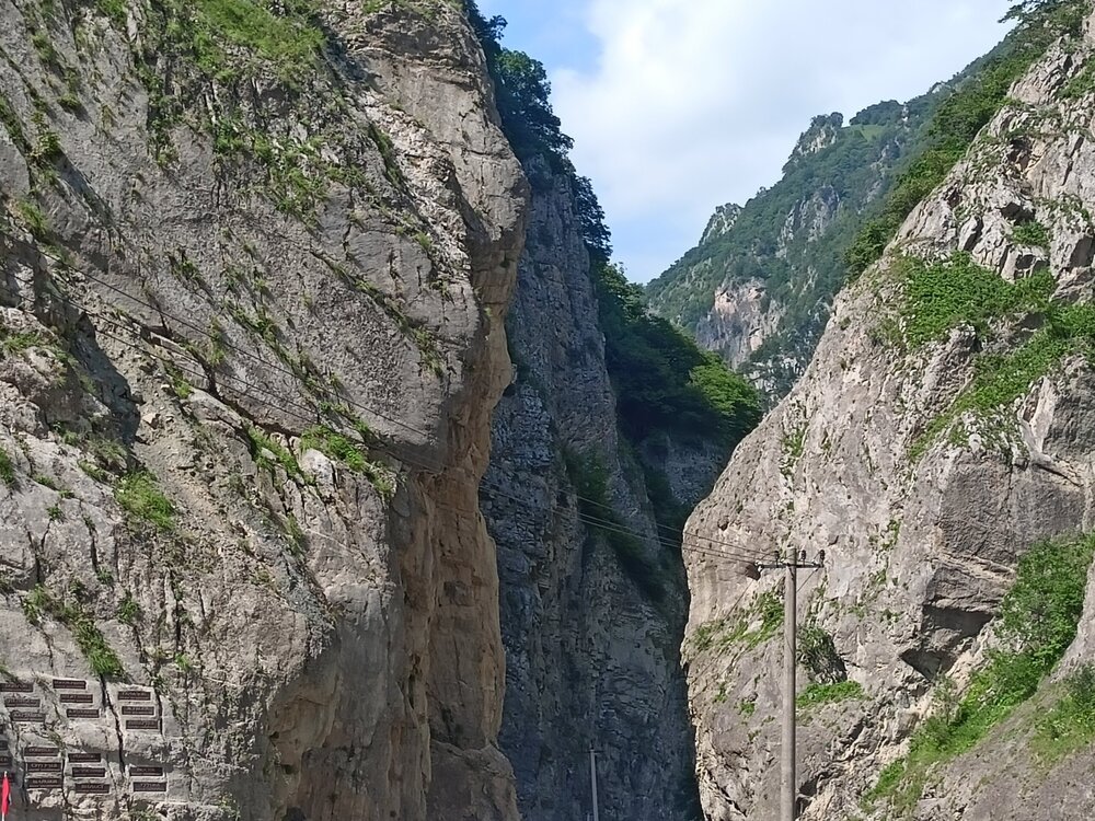 IMG20250723144016.jpg