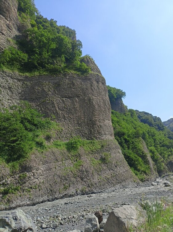 IMG20250723144043.jpg