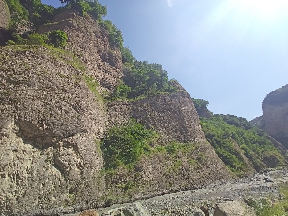 IMG20250723144058.jpg