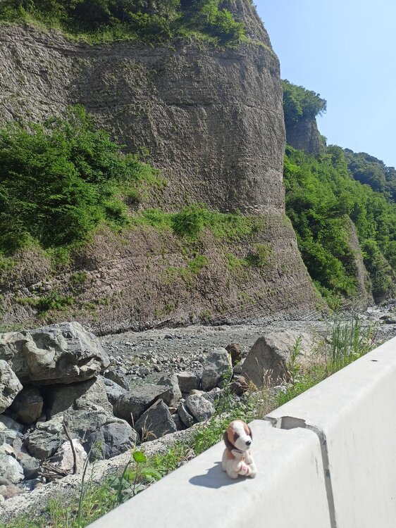 IMG20250723144128.jpg