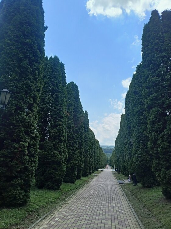 IMG20250724130128.jpg