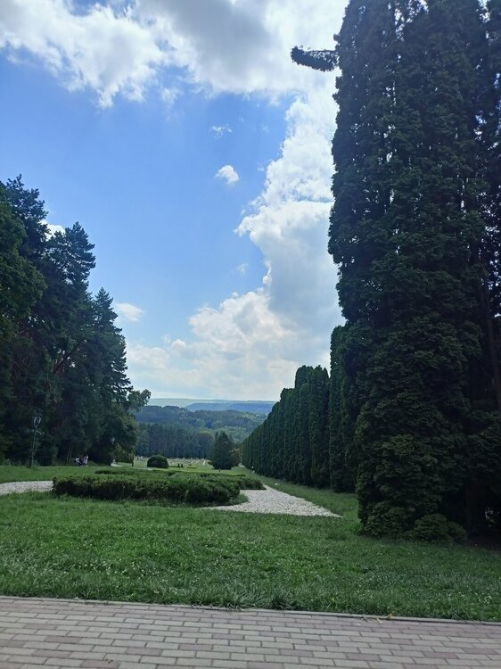 IMG20250724130442.jpg