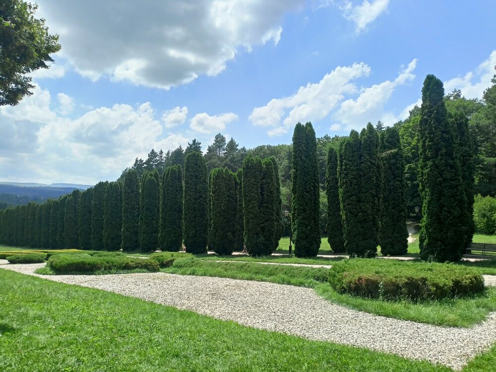 IMG20250724131919.jpg