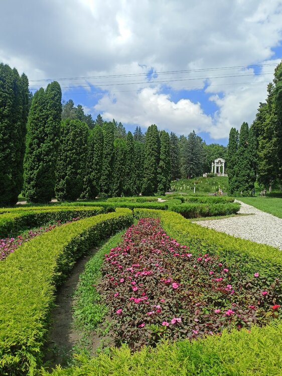 IMG20250724132038.jpg