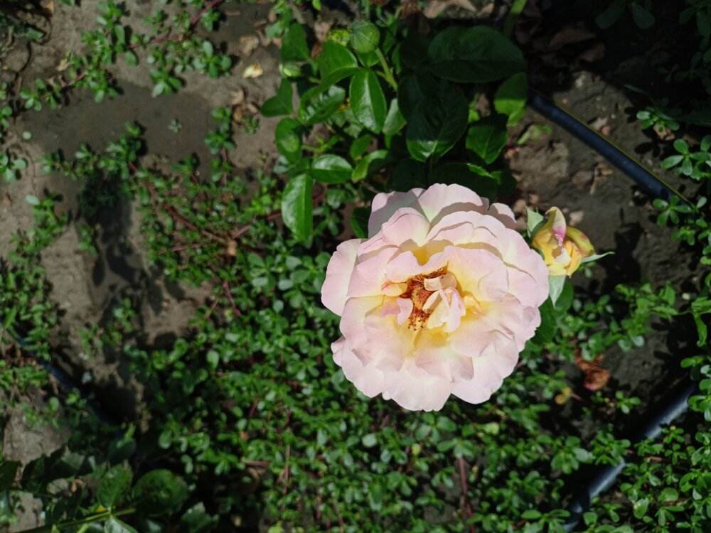 IMG20250724133055.jpg