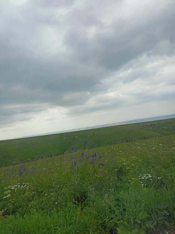 IMG20250724163332_01.jpg
