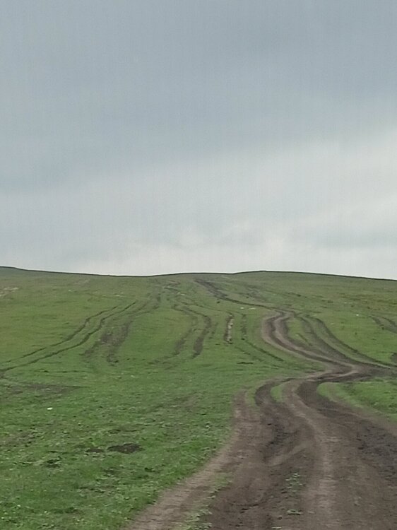 IMG20250724170142.jpg