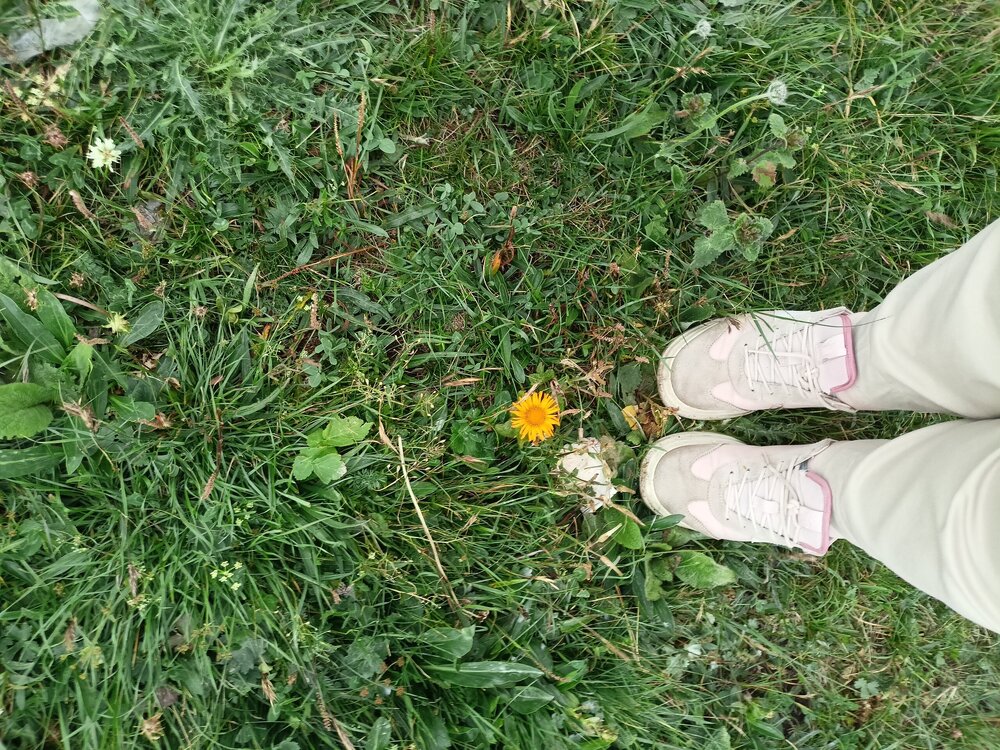 IMG20250724184052.jpg