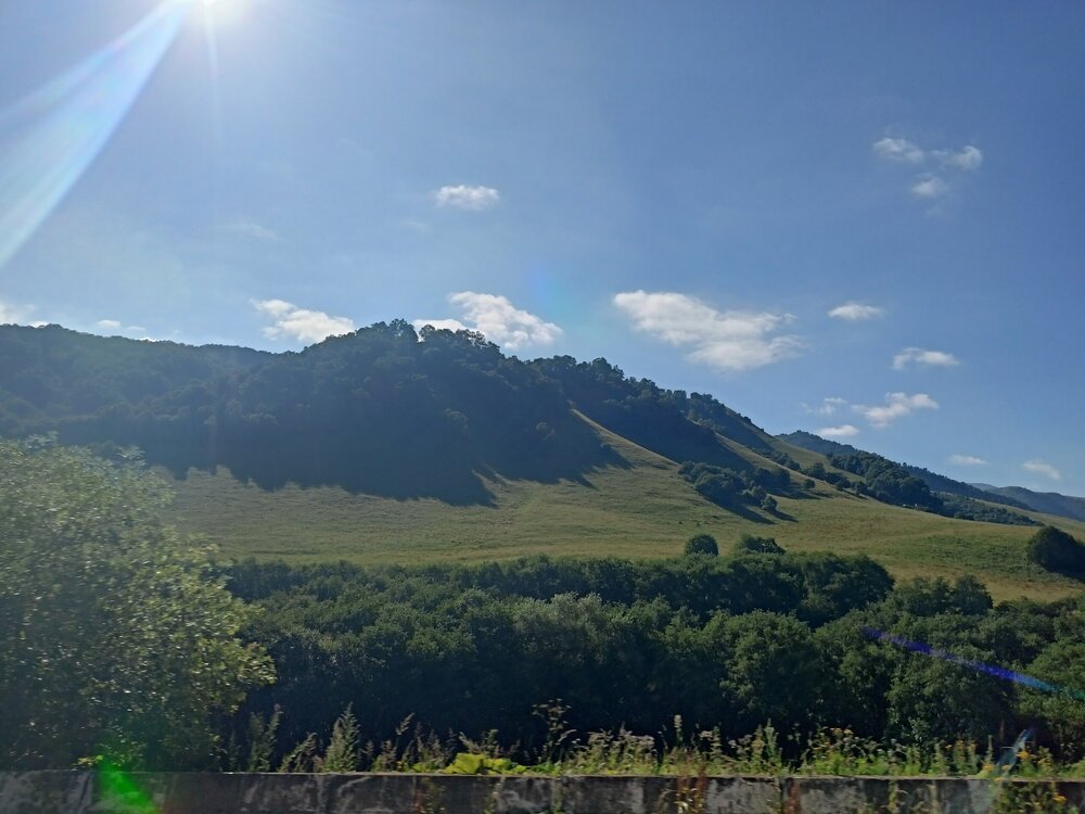IMG20250725082212.jpg