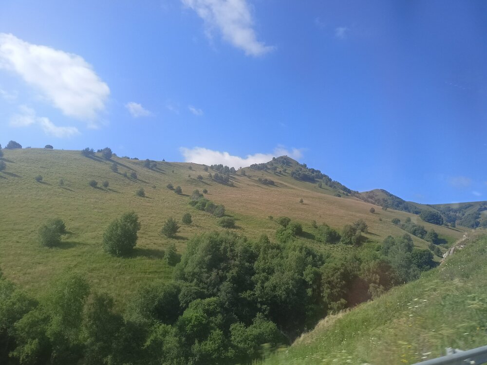 IMG20250725082745.jpg
