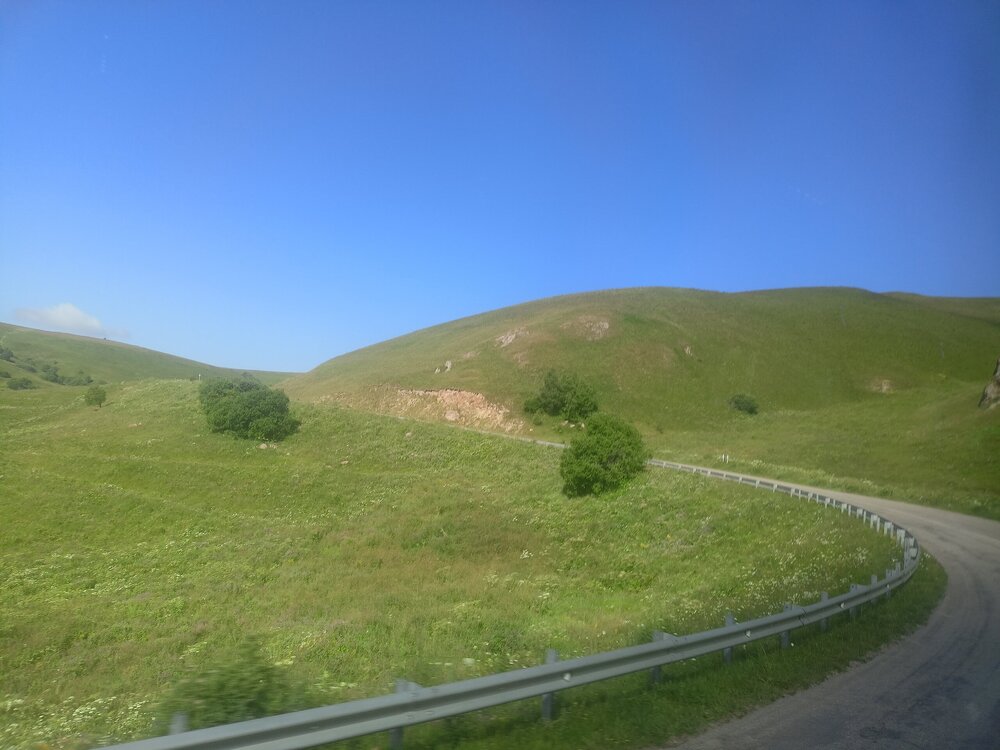 IMG20250725083038.jpg