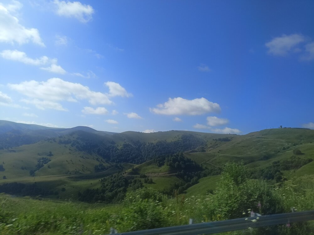 IMG20250725083059.jpg