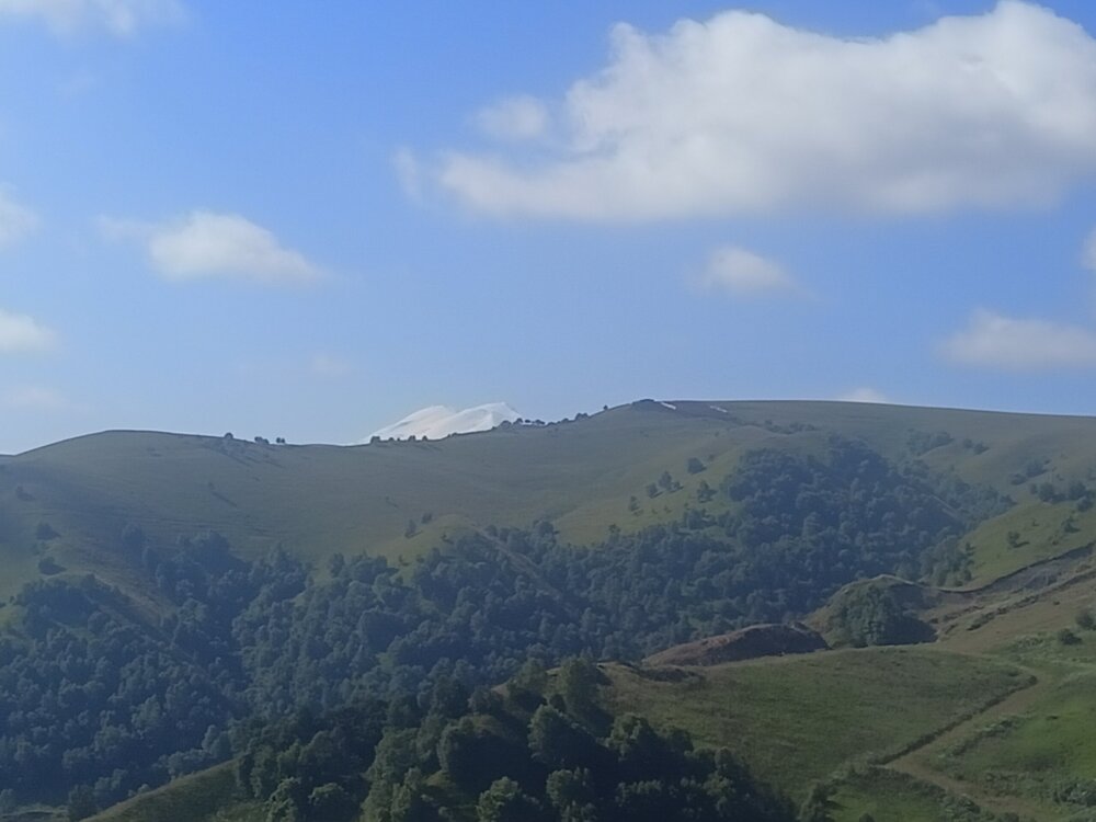 IMG20250725083103.jpg