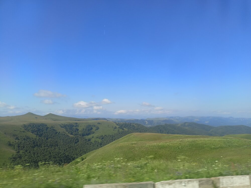 IMG20250725083341.jpg