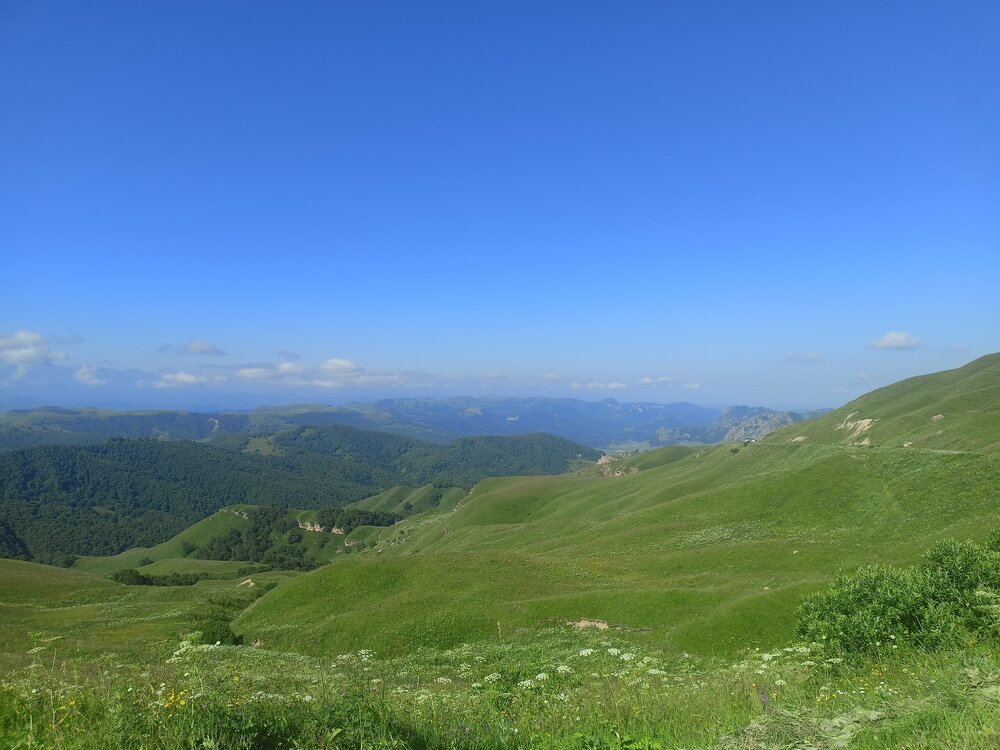 IMG20250725084016.jpg