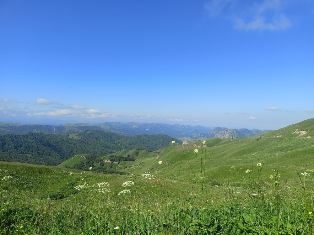 IMG20250725084928.jpg