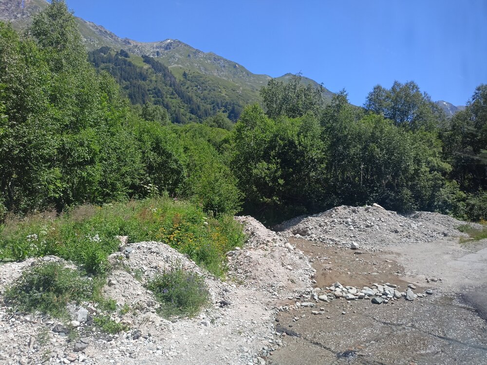 IMG20250725112302.jpg