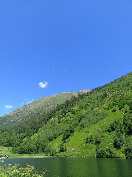 IMG20250725112713.jpg
