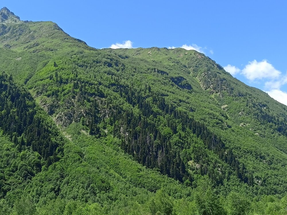 IMG20250725113114.jpg