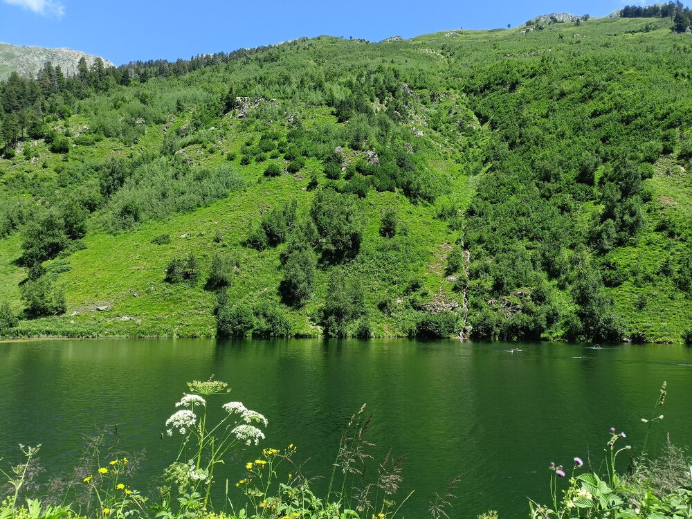 IMG20250725113459.jpg