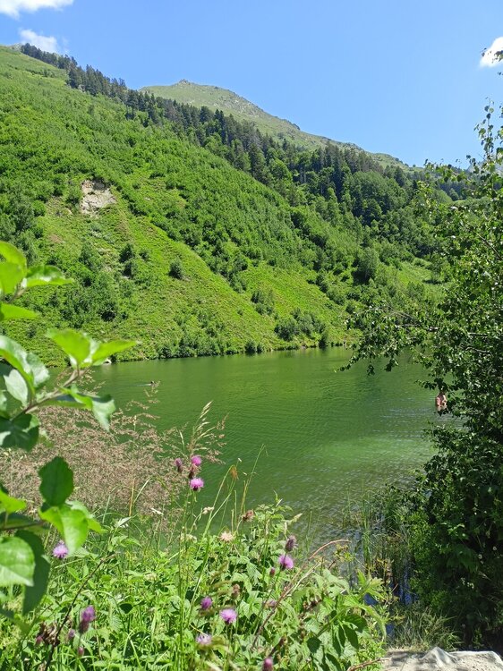 IMG20250725113520.jpg