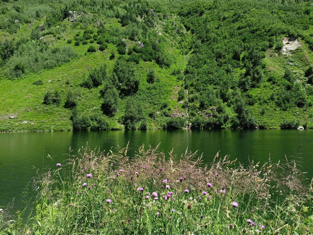 IMG20250725113559.jpg