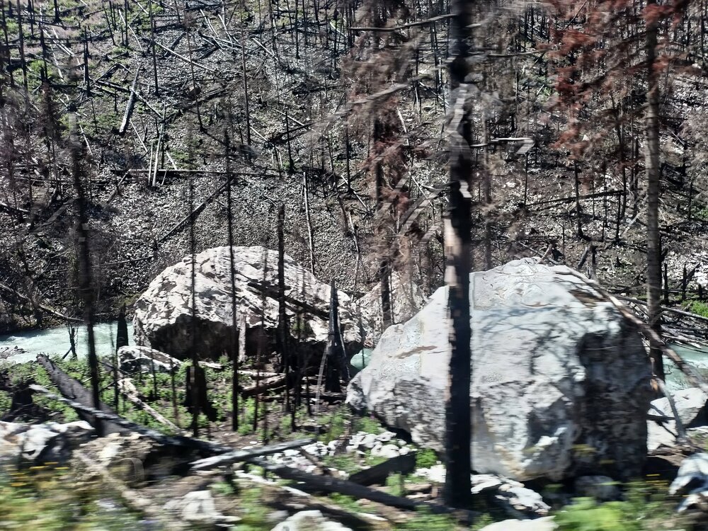 IMG20250725115813.jpg