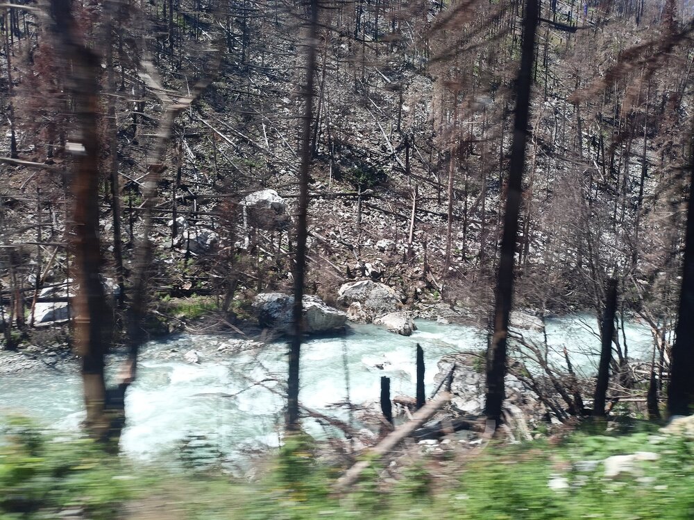 IMG20250725115818.jpg