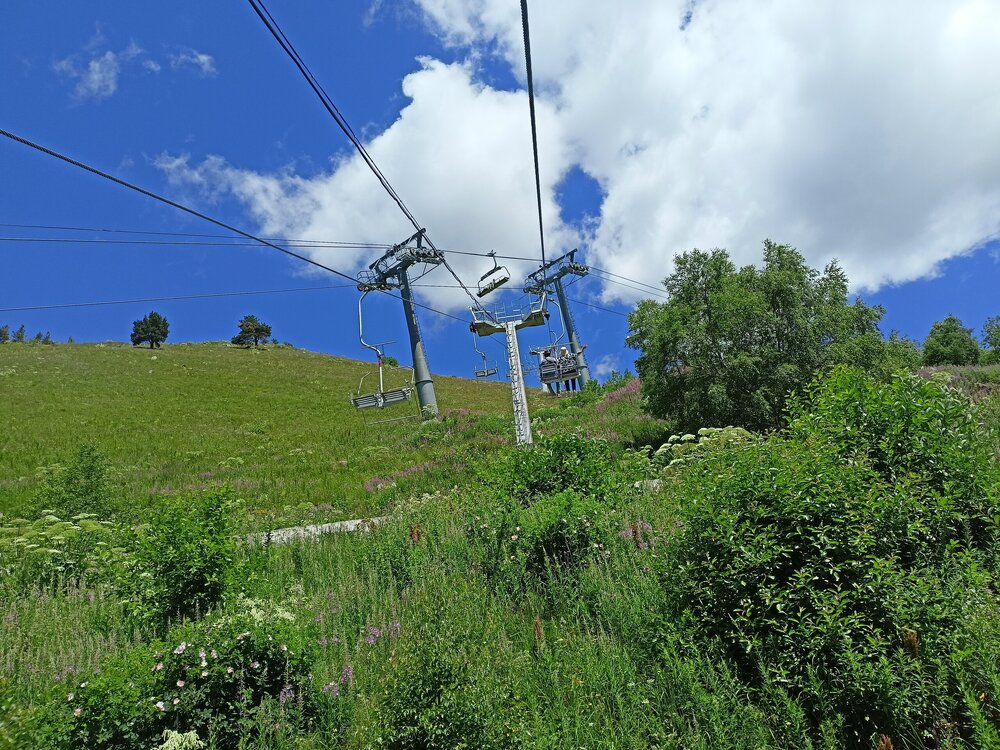 IMG20250725124540.jpg