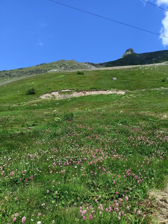 IMG20250725131448.jpg