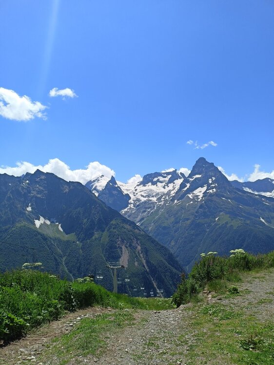 IMG20250725131935.jpg