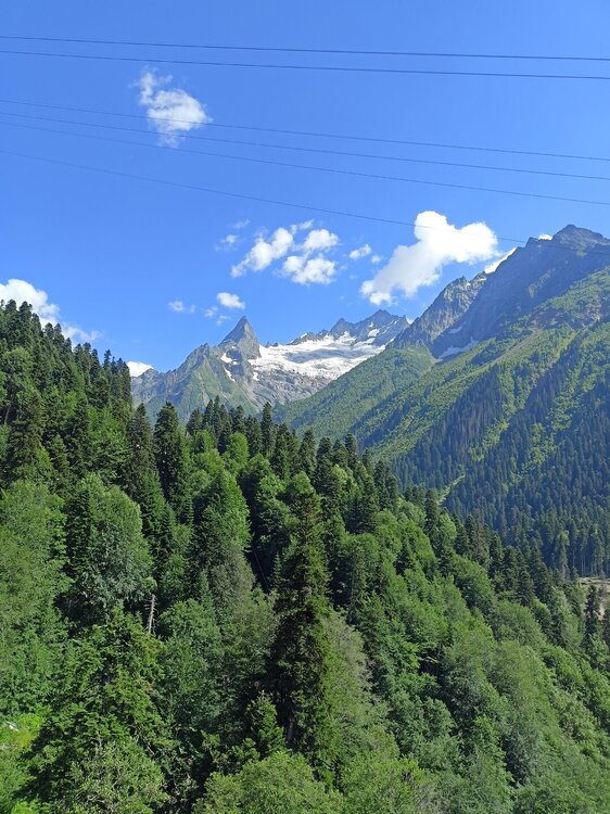 IMG20250725145159.jpg