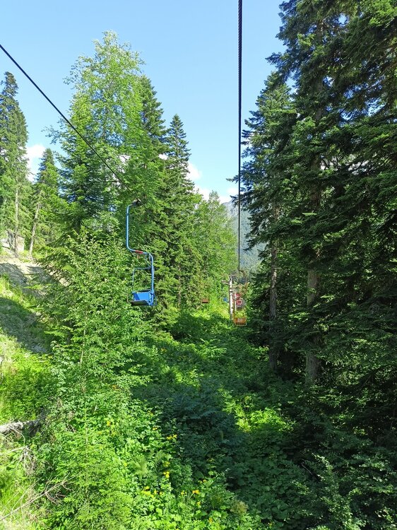 IMG20250725151537.jpg