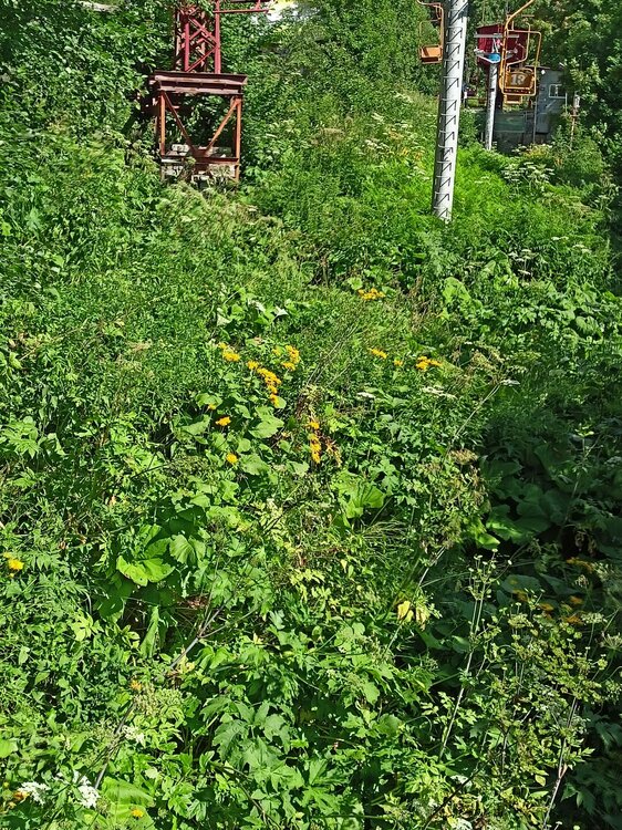 IMG20250725151638.jpg