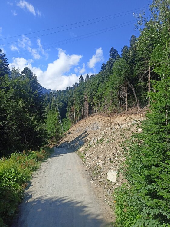 IMG20250725153322.jpg