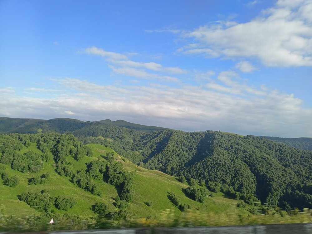 IMG20250725174609.jpg